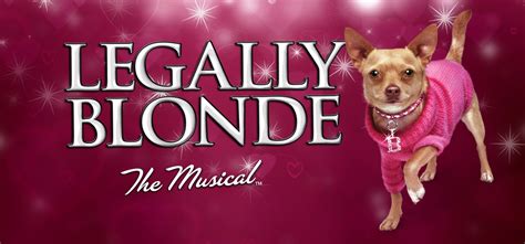 Where to Watch Legally Blonde The Musical: A Detailed Guide